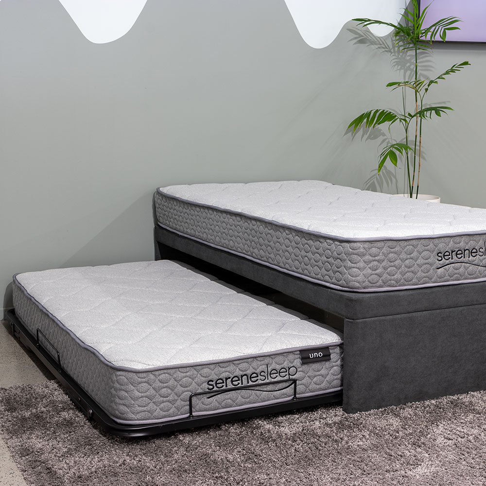 Serene & Uno King Single/ Single Trundle Bed Set, Charcoal